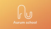 Aurum School